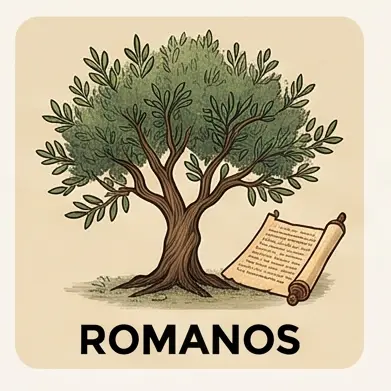 5 Romanos.png